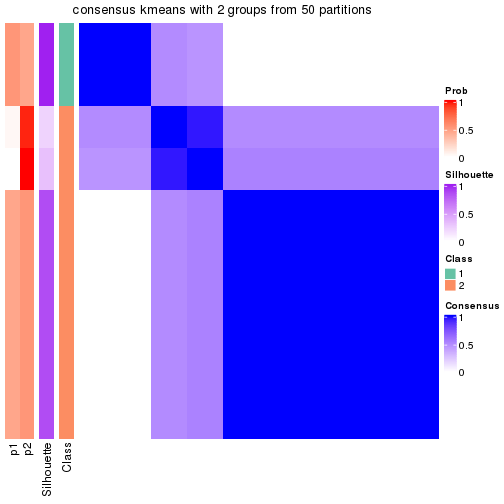 plot of chunk tab-node-044-consensus-heatmap-1