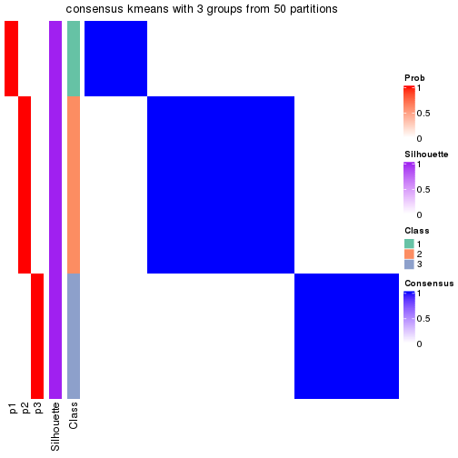 plot of chunk tab-node-044-consensus-heatmap-2