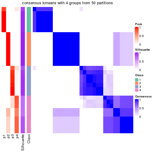 plot of chunk tab-node-044-consensus-heatmap-3