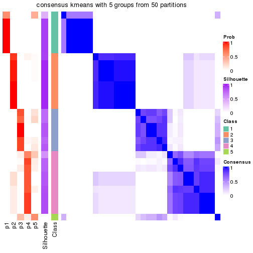 plot of chunk tab-node-044-consensus-heatmap-4