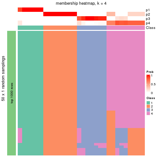 plot of chunk tab-node-044-membership-heatmap-3