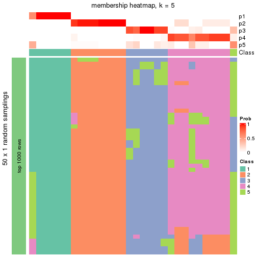 plot of chunk tab-node-044-membership-heatmap-4