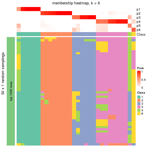 plot of chunk tab-node-044-membership-heatmap-5