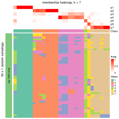 plot of chunk tab-node-044-membership-heatmap-6