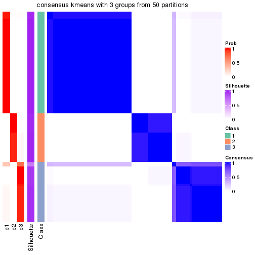 plot of chunk tab-node-05-consensus-heatmap-2