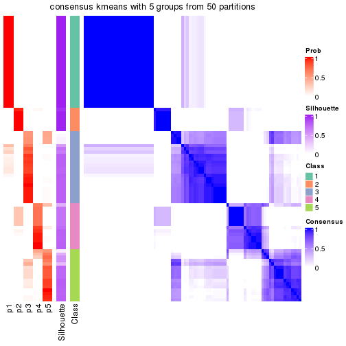 plot of chunk tab-node-05-consensus-heatmap-4