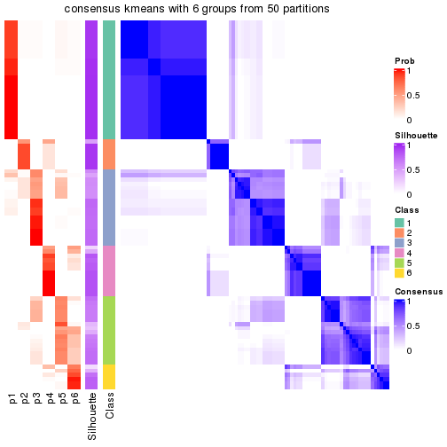 plot of chunk tab-node-05-consensus-heatmap-5