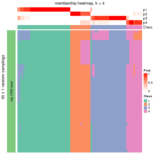 plot of chunk tab-node-05-membership-heatmap-3