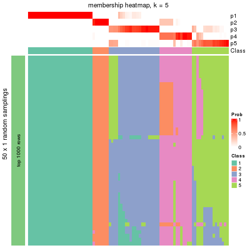 plot of chunk tab-node-05-membership-heatmap-4