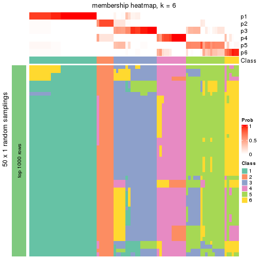 plot of chunk tab-node-05-membership-heatmap-5