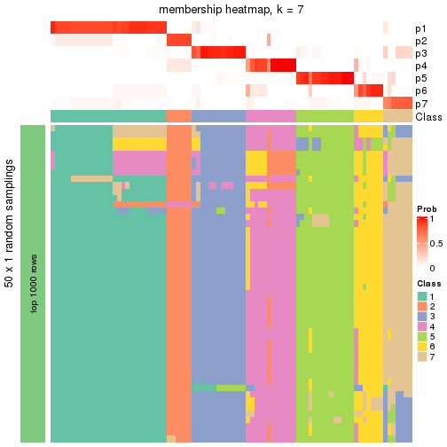 plot of chunk tab-node-05-membership-heatmap-6