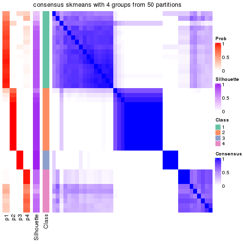 plot of chunk tab-node-051-consensus-heatmap-3