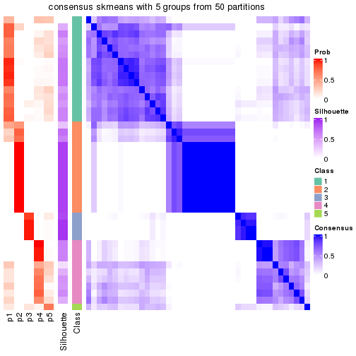 plot of chunk tab-node-051-consensus-heatmap-4