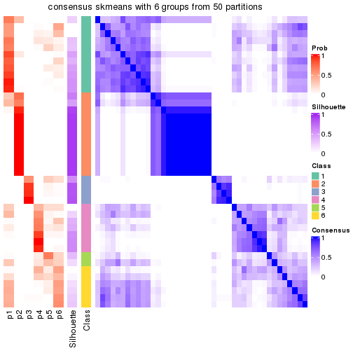 plot of chunk tab-node-051-consensus-heatmap-5