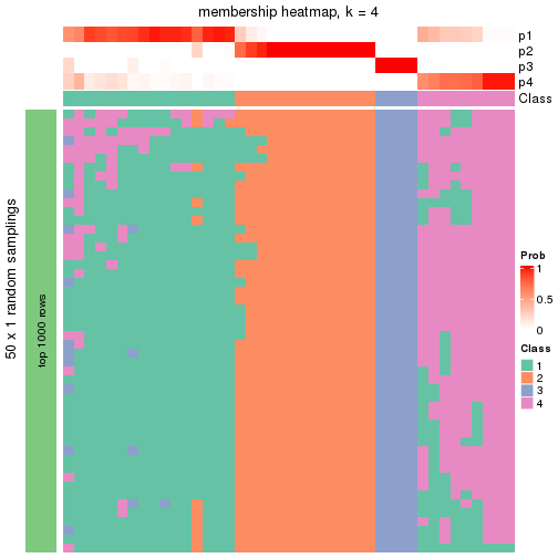 plot of chunk tab-node-051-membership-heatmap-3