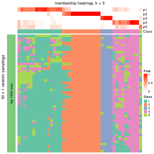 plot of chunk tab-node-051-membership-heatmap-4