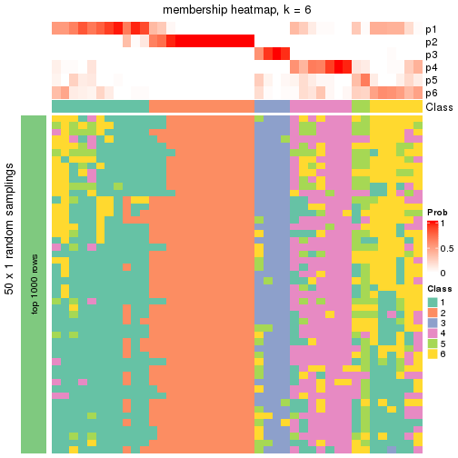 plot of chunk tab-node-051-membership-heatmap-5