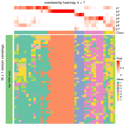 plot of chunk tab-node-051-membership-heatmap-6