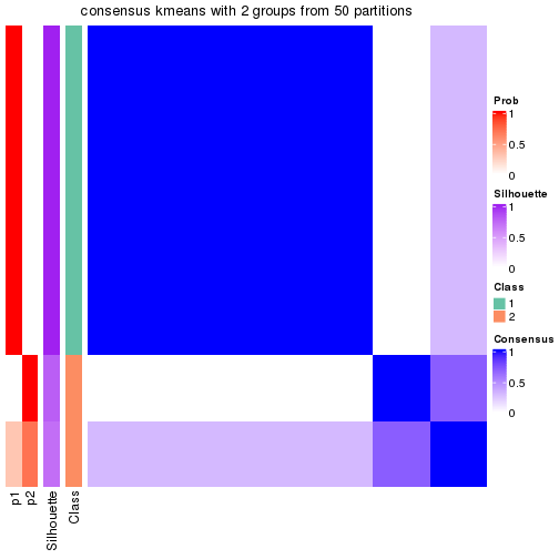 plot of chunk tab-node-0512-consensus-heatmap-1