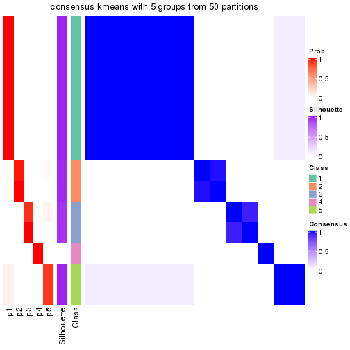 plot of chunk tab-node-0512-consensus-heatmap-4