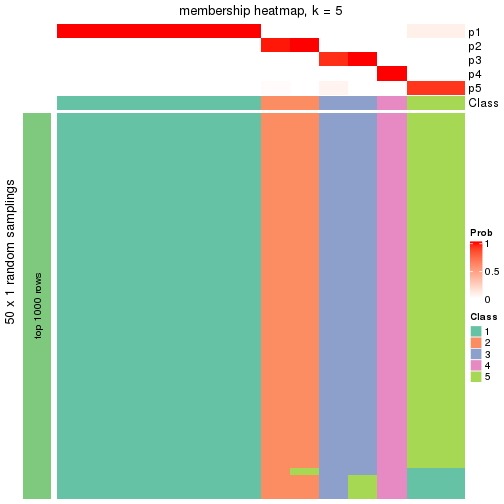 plot of chunk tab-node-0512-membership-heatmap-4