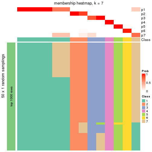 plot of chunk tab-node-0512-membership-heatmap-6