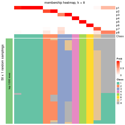 plot of chunk tab-node-0512-membership-heatmap-7