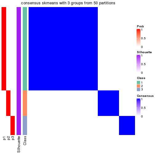 plot of chunk tab-node-052-consensus-heatmap-2