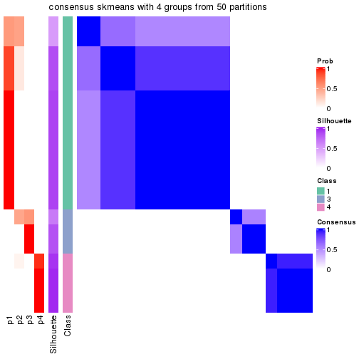 plot of chunk tab-node-052-consensus-heatmap-3