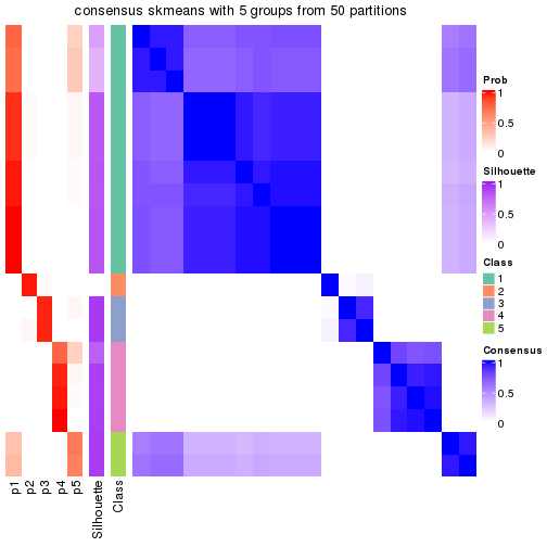 plot of chunk tab-node-052-consensus-heatmap-4