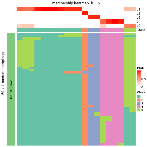 plot of chunk tab-node-052-membership-heatmap-4