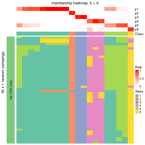 plot of chunk tab-node-052-membership-heatmap-5