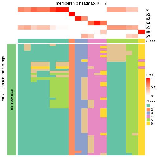 plot of chunk tab-node-052-membership-heatmap-6