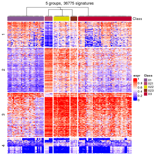 plot of chunk tab-get-signatures-from-hierarchical-partition-7