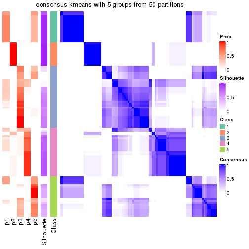 plot of chunk tab-node-0-consensus-heatmap-4