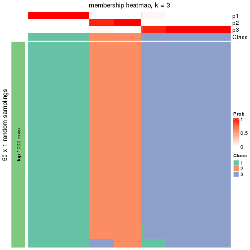 plot of chunk tab-node-0-membership-heatmap-2