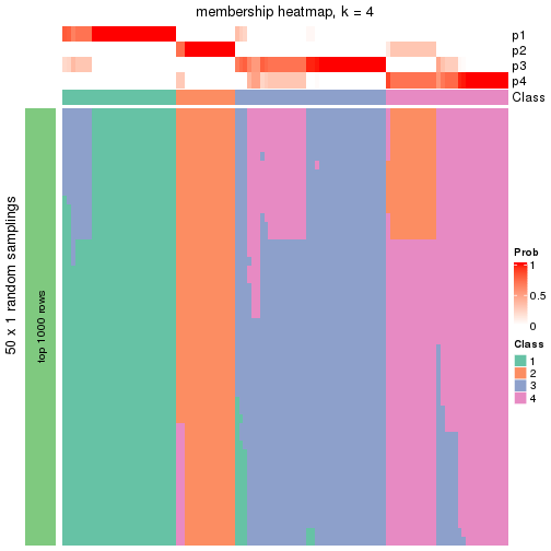 plot of chunk tab-node-0-membership-heatmap-3