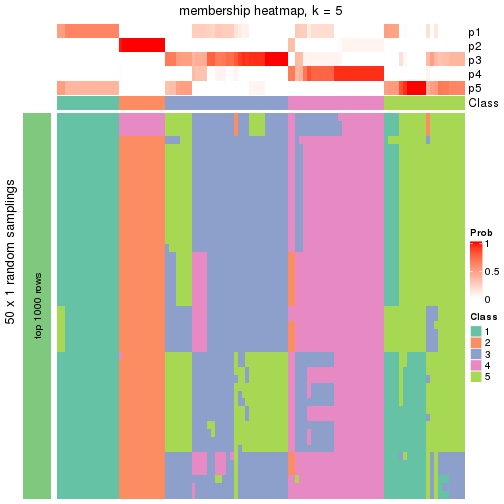 plot of chunk tab-node-0-membership-heatmap-4