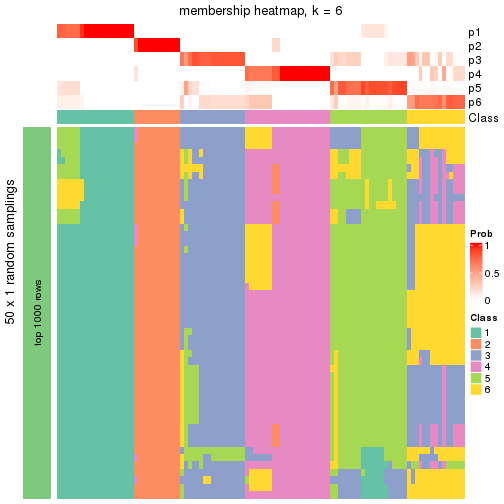 plot of chunk tab-node-0-membership-heatmap-5