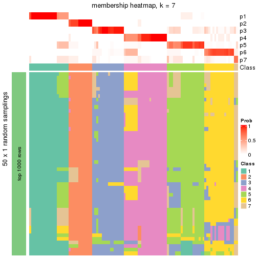 plot of chunk tab-node-0-membership-heatmap-6