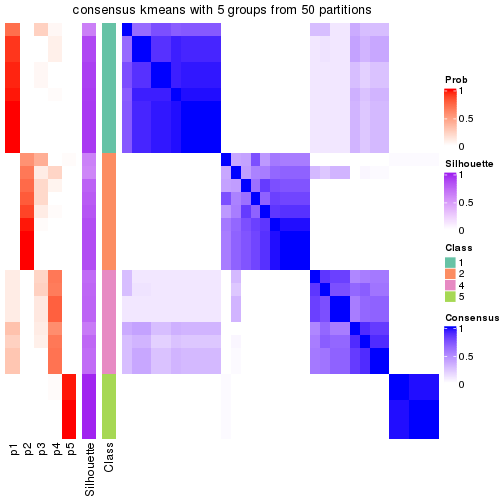 plot of chunk tab-node-01-consensus-heatmap-4