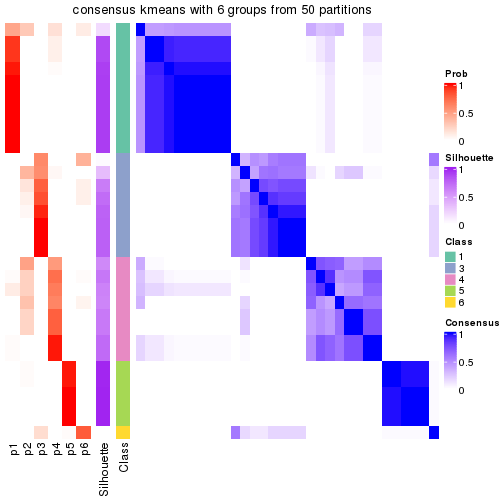 plot of chunk tab-node-01-consensus-heatmap-5