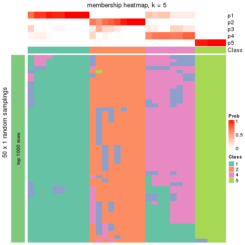 plot of chunk tab-node-01-membership-heatmap-4