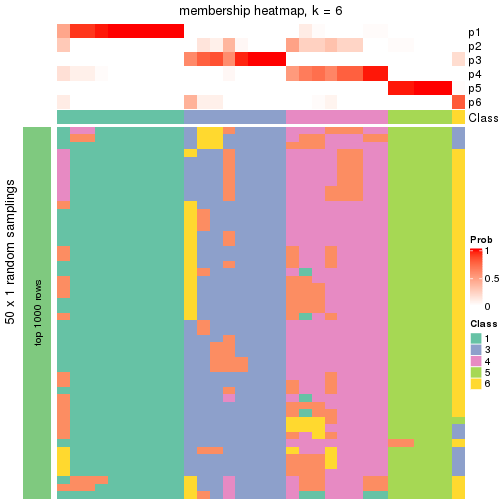 plot of chunk tab-node-01-membership-heatmap-5