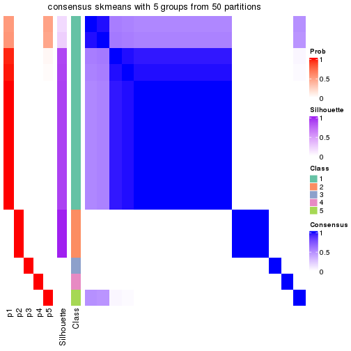 plot of chunk tab-node-011-consensus-heatmap-4