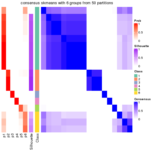 plot of chunk tab-node-011-consensus-heatmap-5