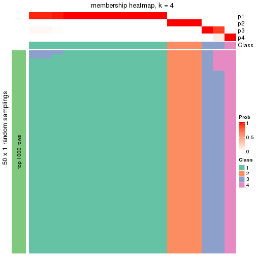 plot of chunk tab-node-011-membership-heatmap-3