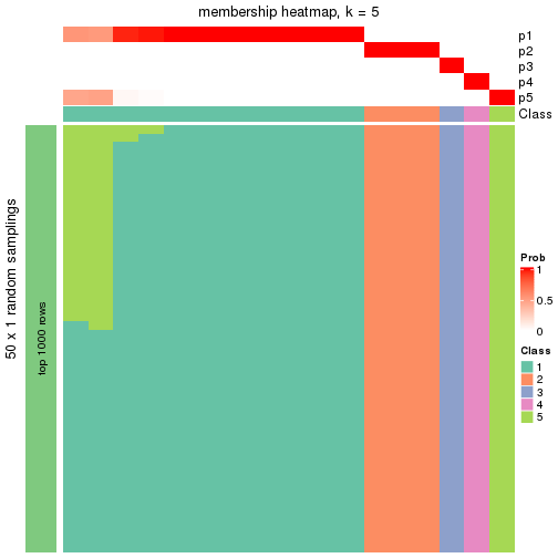 plot of chunk tab-node-011-membership-heatmap-4