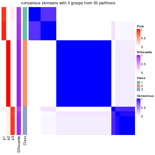 plot of chunk tab-node-02-consensus-heatmap-2