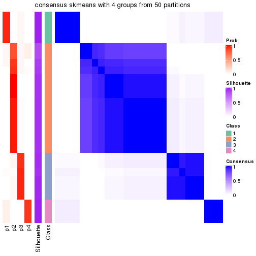 plot of chunk tab-node-02-consensus-heatmap-3